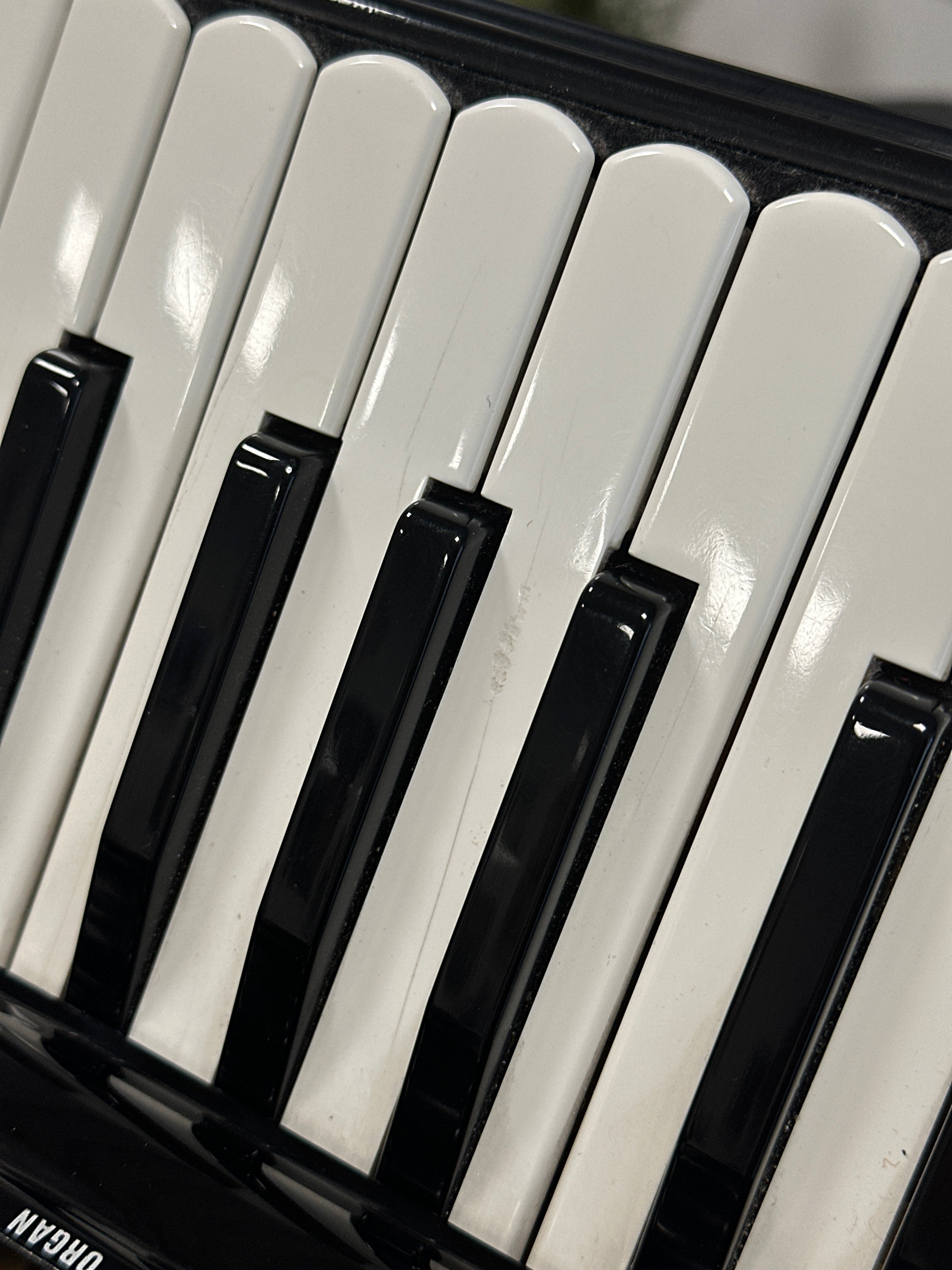 Vintage Excelsior 960 Professional Accordion – 120 Bass, 5/5 Reeds, Double Cassotto, Made in Italy